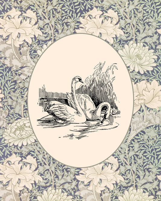 Two Swans Sketch