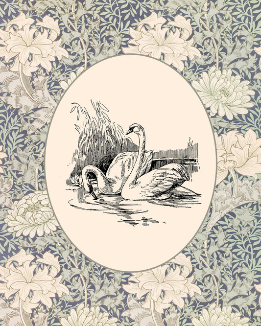 Twos Swans Sketch NO2