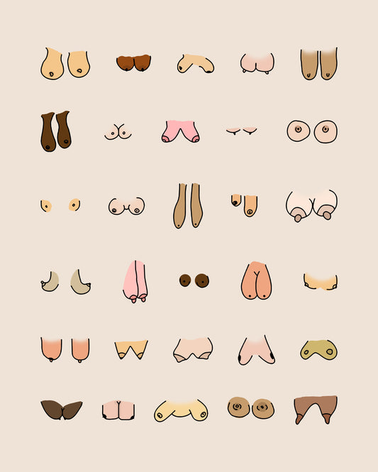 Shapes of Breasts NO2