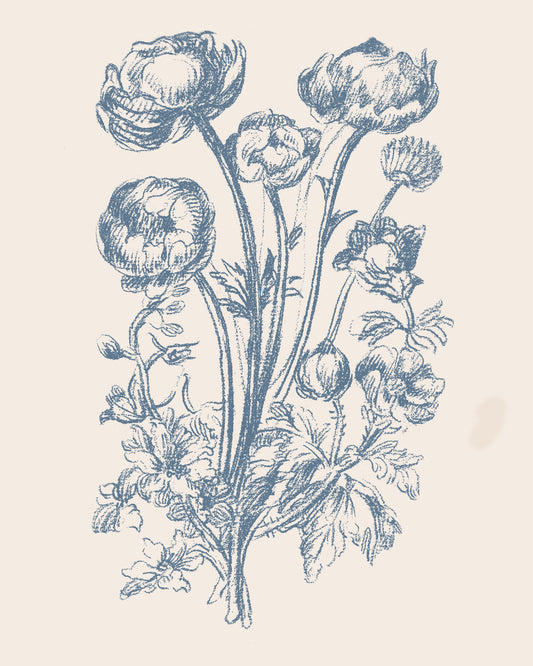 Blue Rose Bouquet Sketch NO2