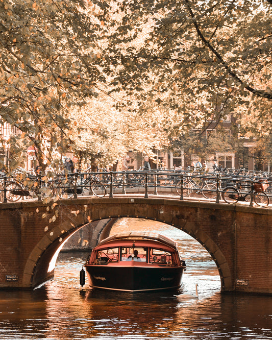 Amsterdam Canals NO2