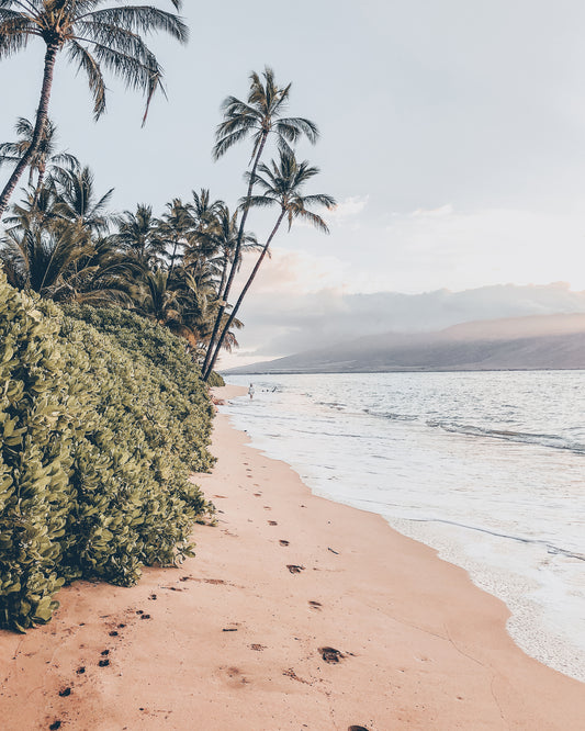 Maui Beach