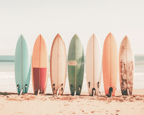 Surfboards Lined Up