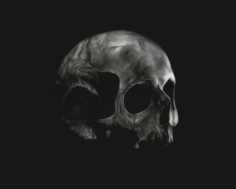Monochromatic Skull