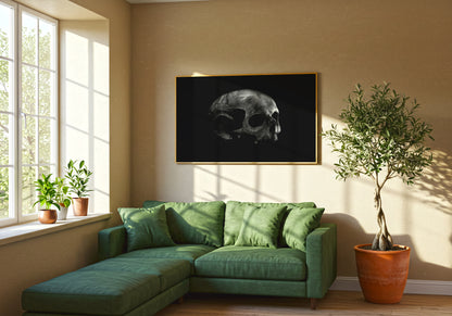 Monochromatic Skull