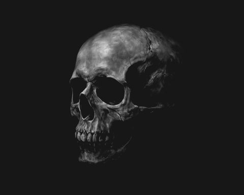 Monochromatic Skull NO2
