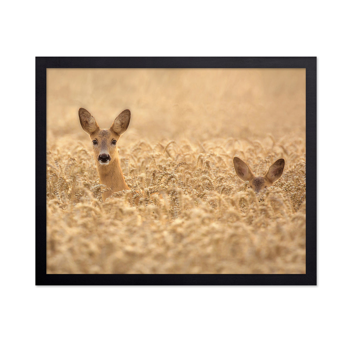 Mother with Child Deer