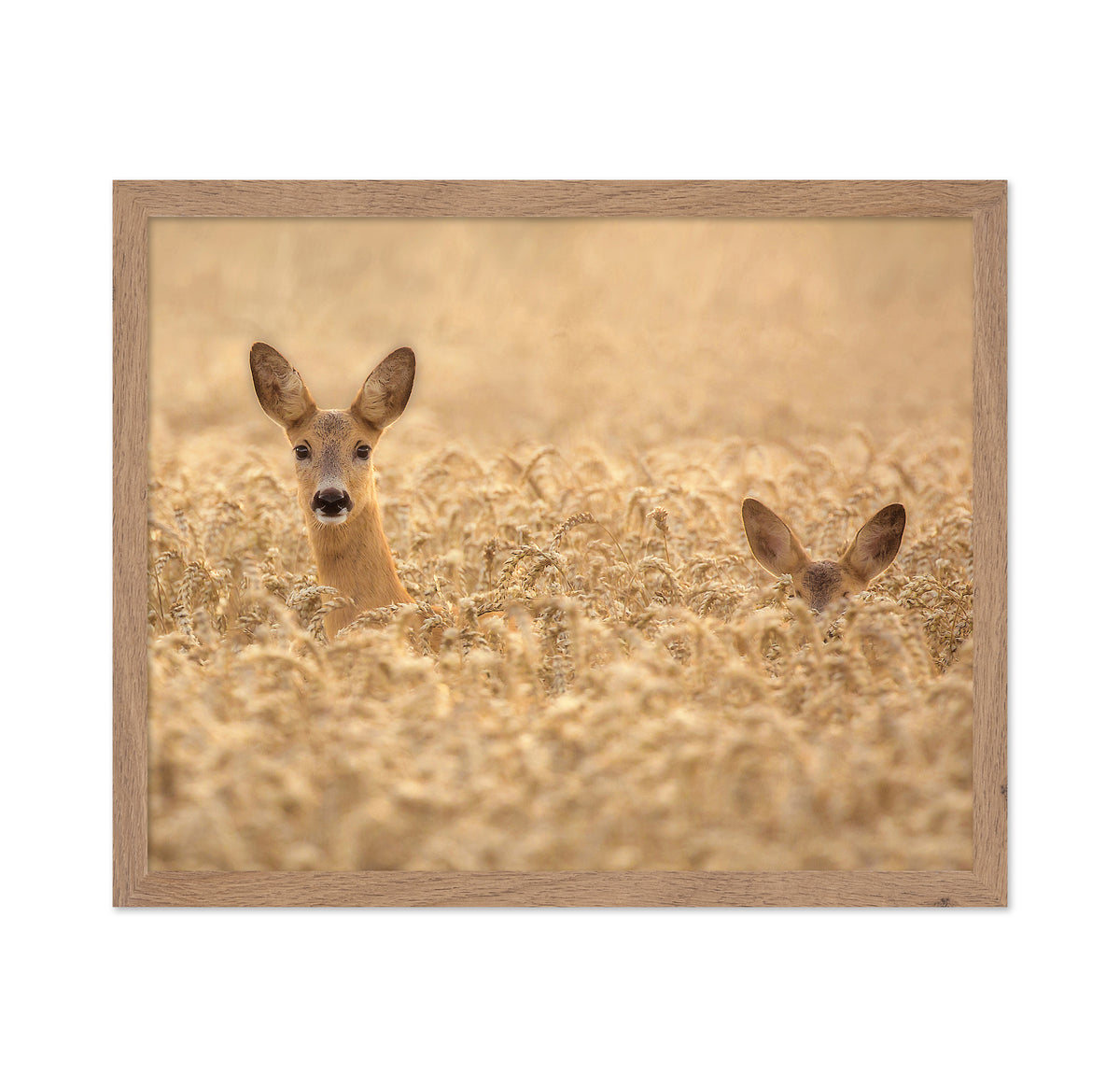 Mother with Child Deer
