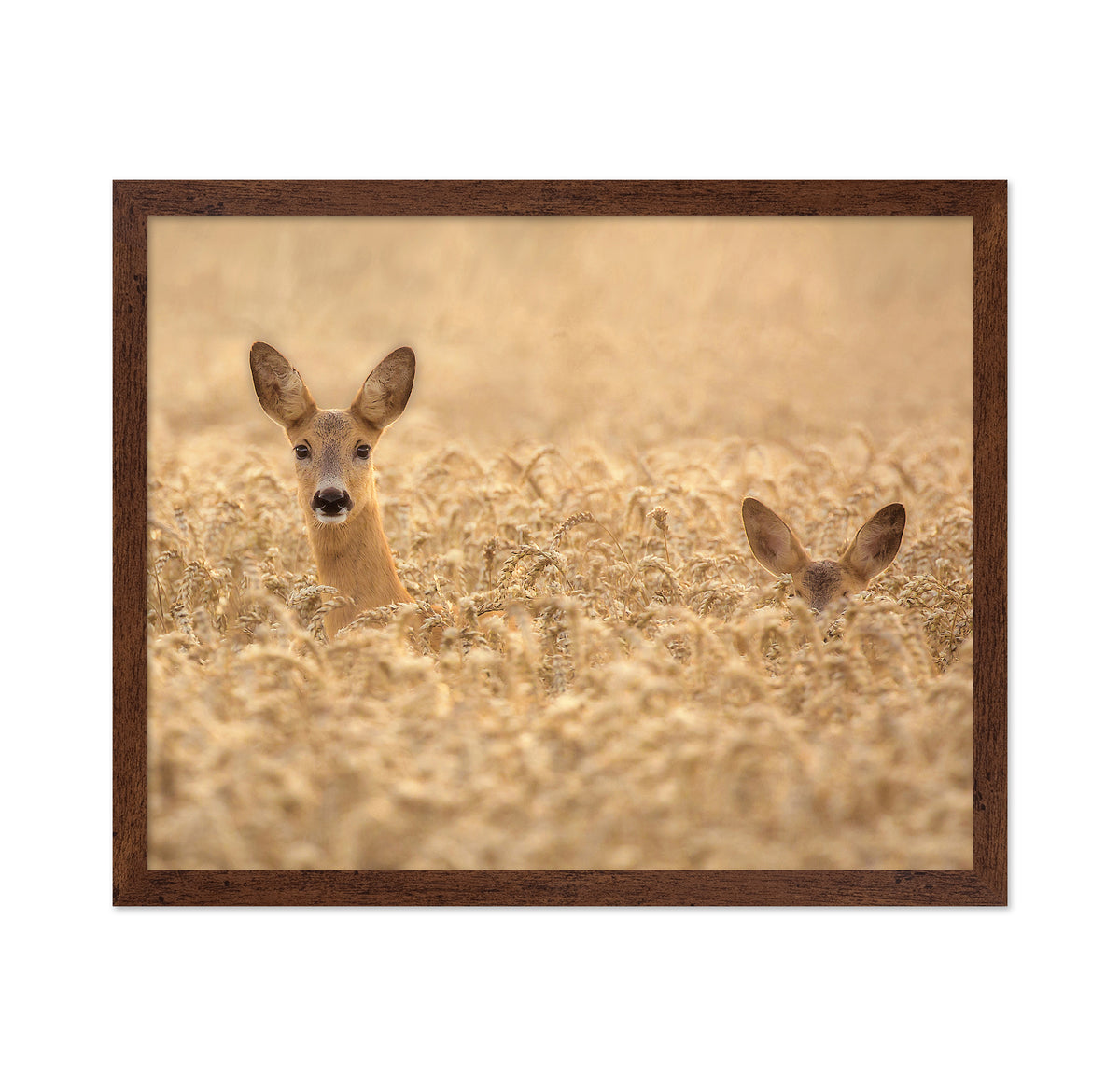 Mother with Child Deer