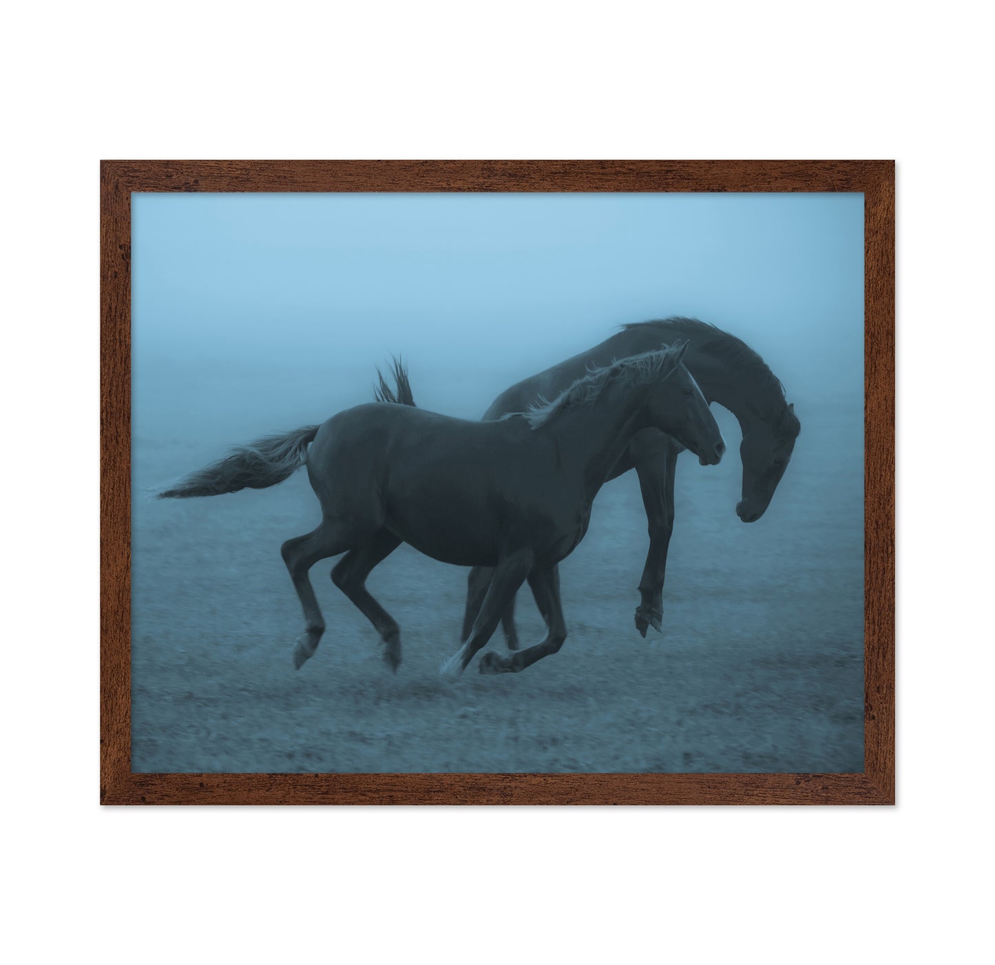 Running Horses in the Fog