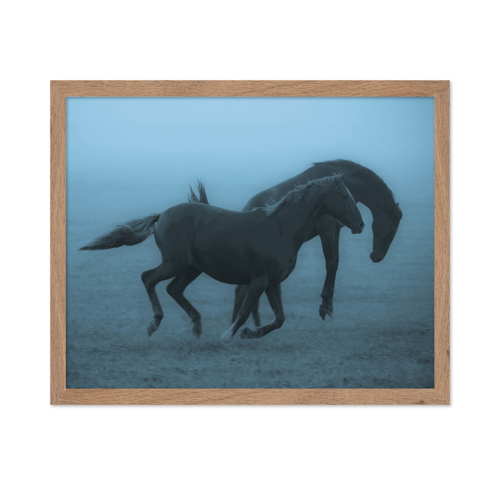 Running Horses in the Fog