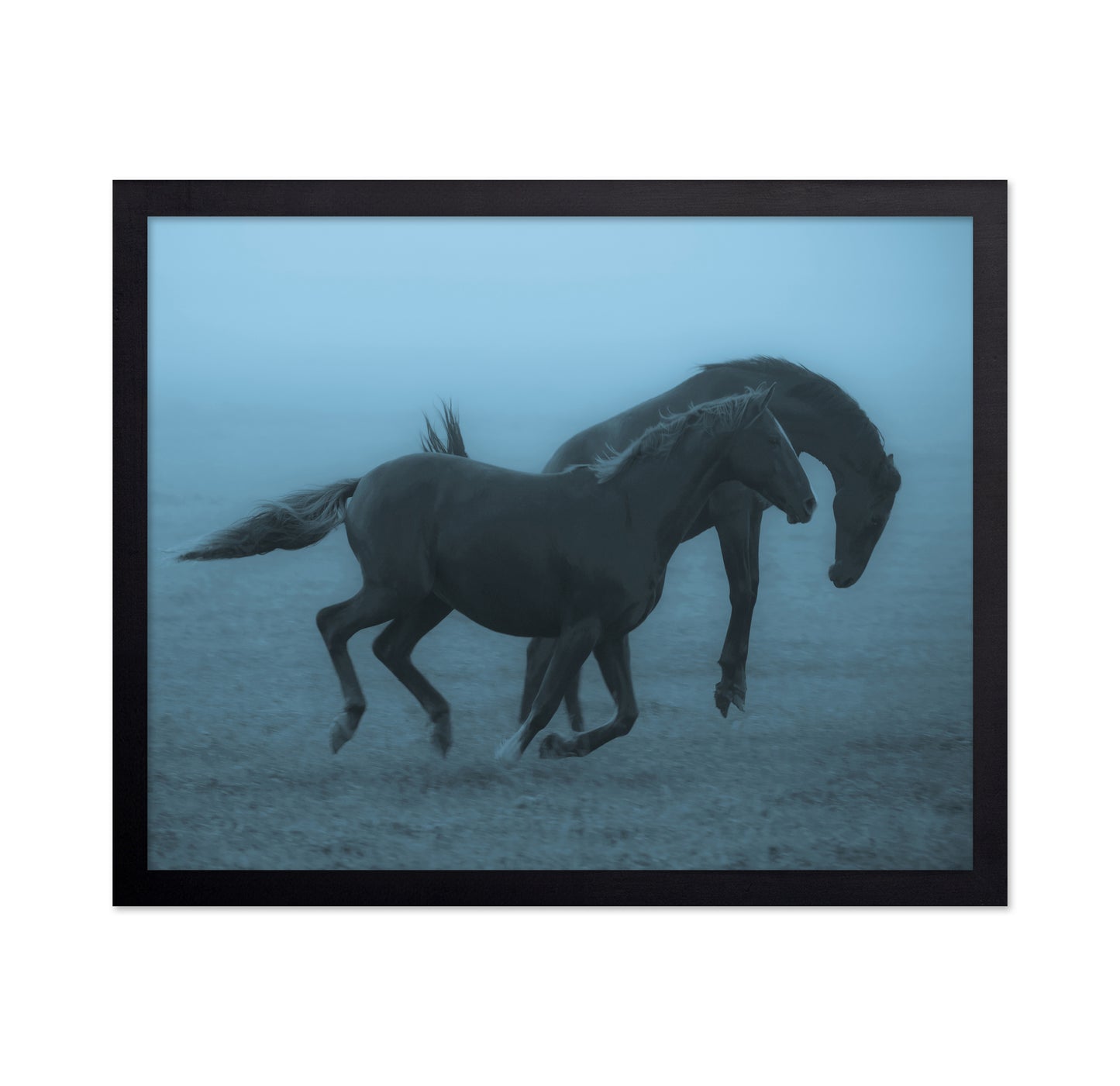 Running Horses in the Fog