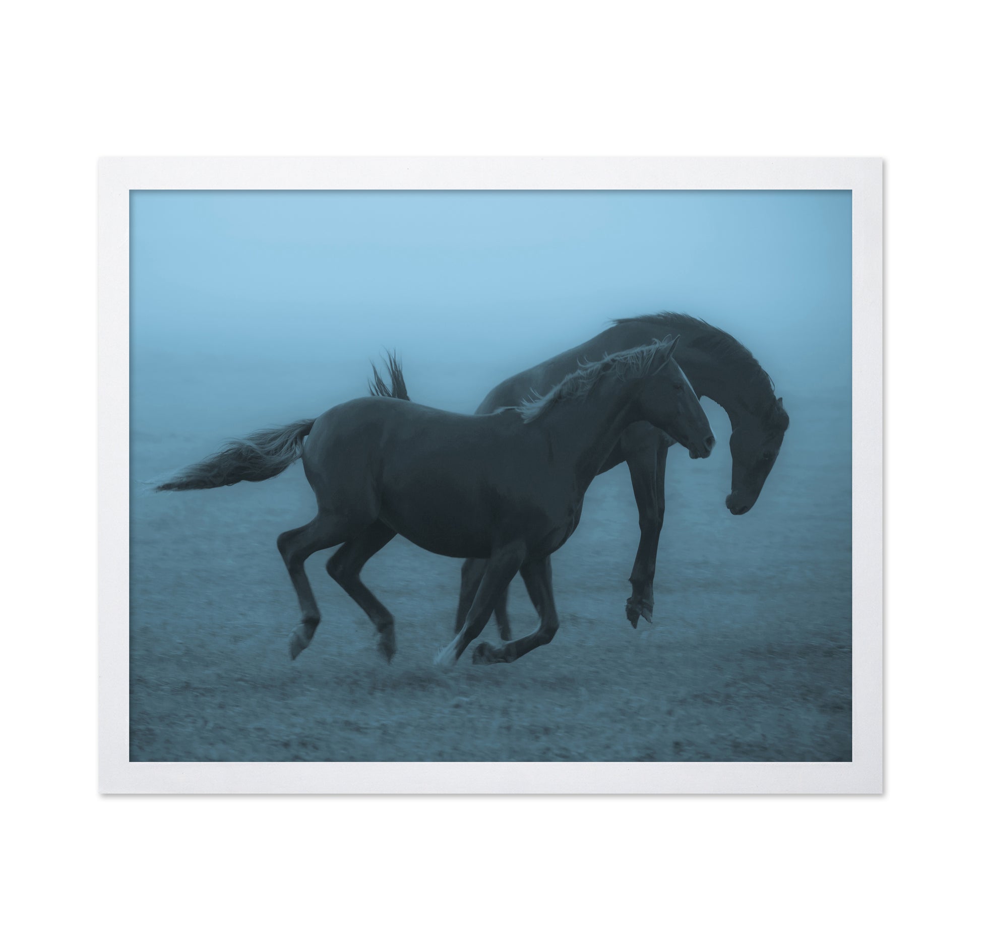 Running Horses in the Fog