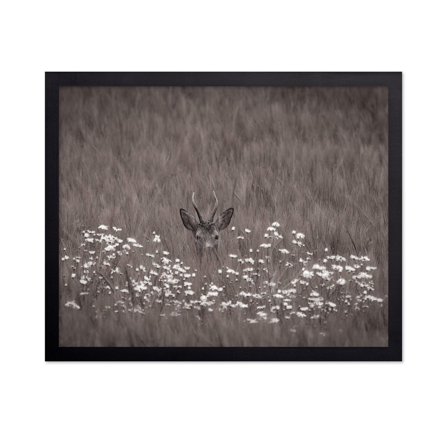 Deer Behind Flowers