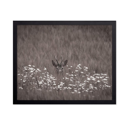 Deer Behind Flowers