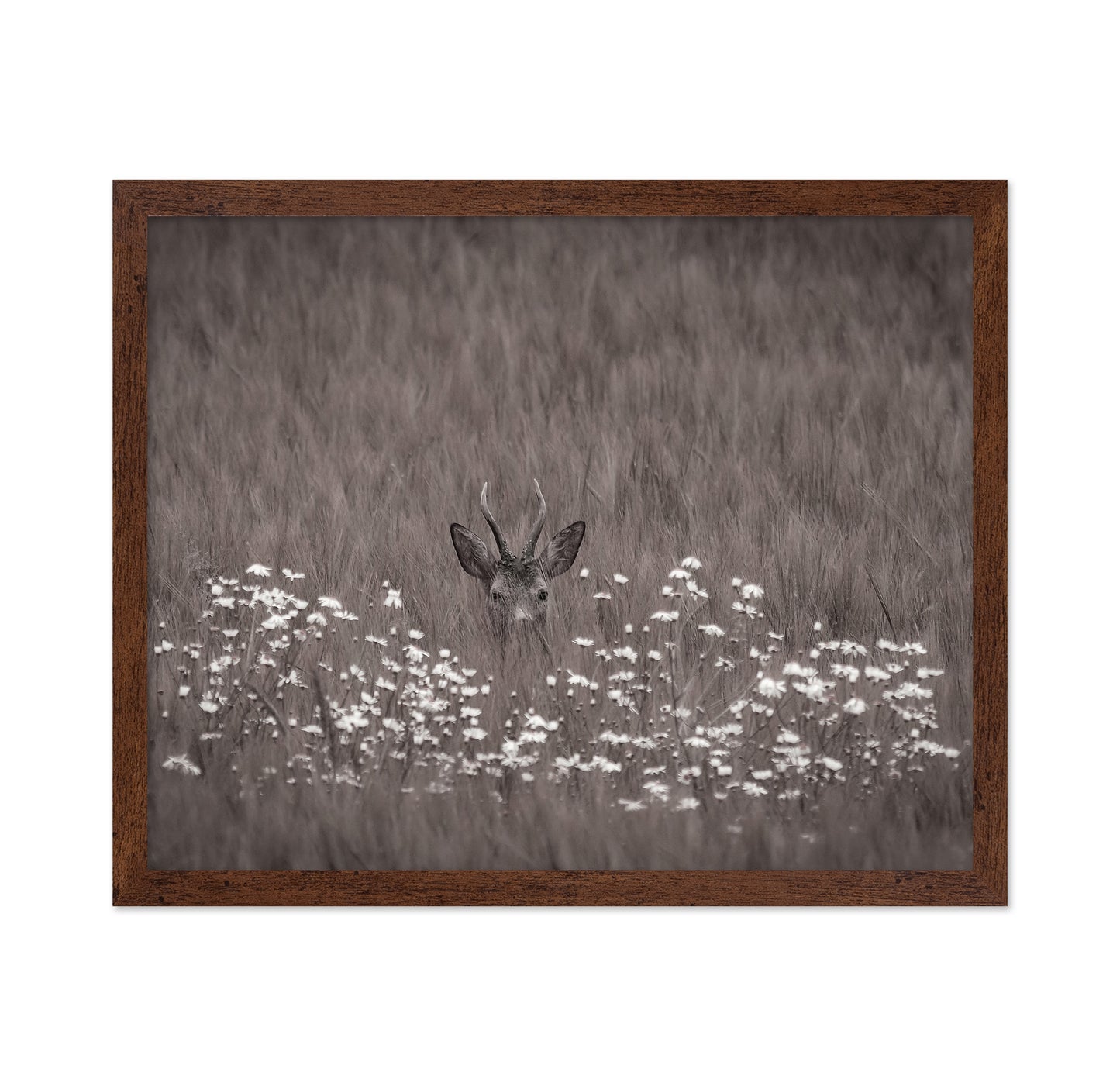 Deer Behind Flowers