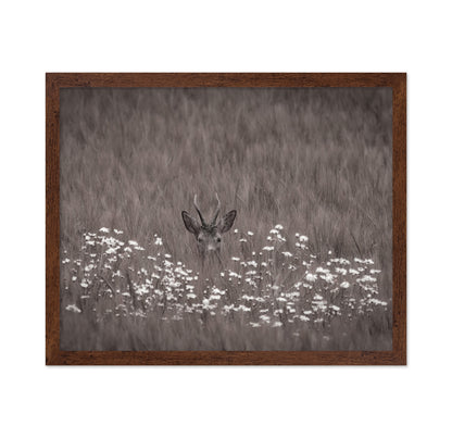 Deer Behind Flowers