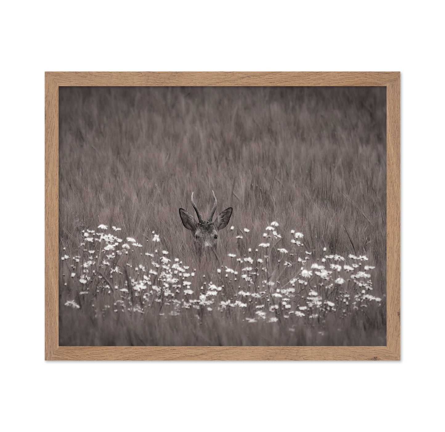 Deer Behind Flowers