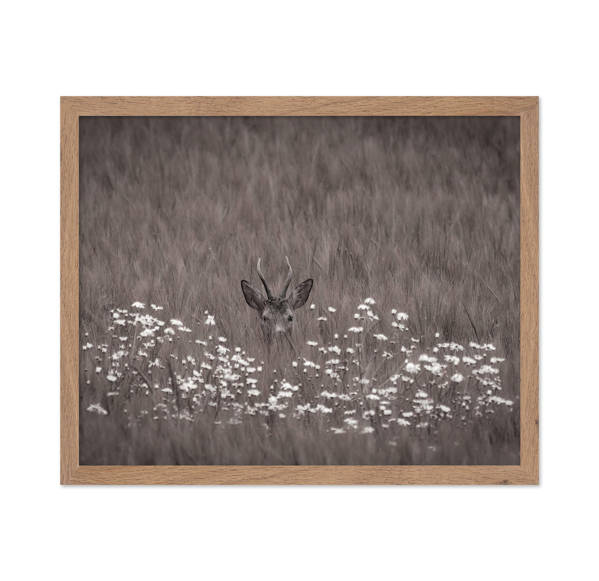 Deer Behind Flowers