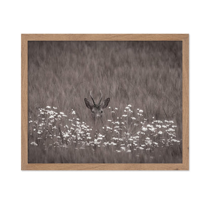 Deer Behind Flowers