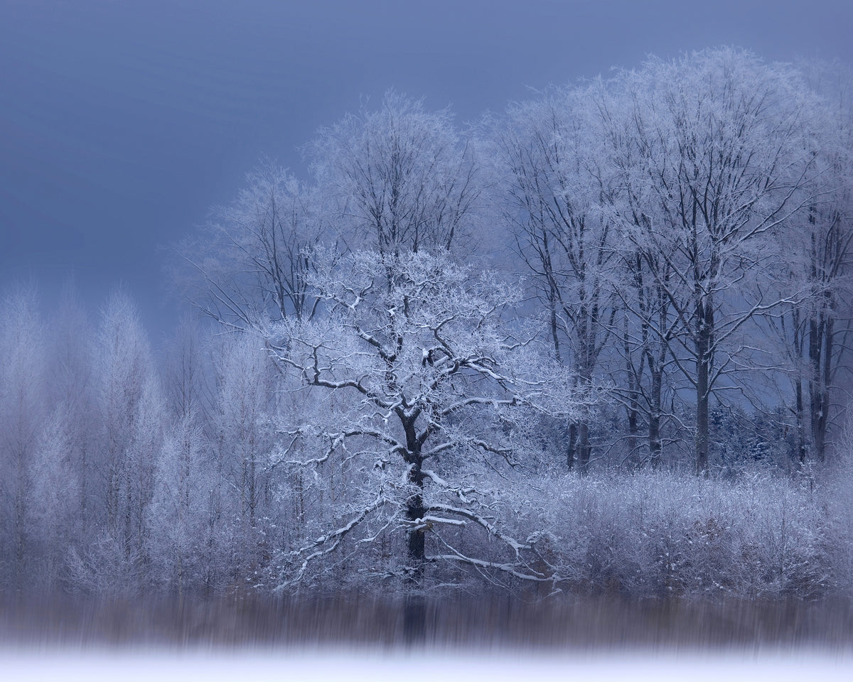 A Chilly Winter Day