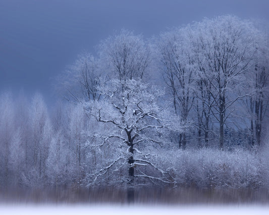 A Chilly Winter Day