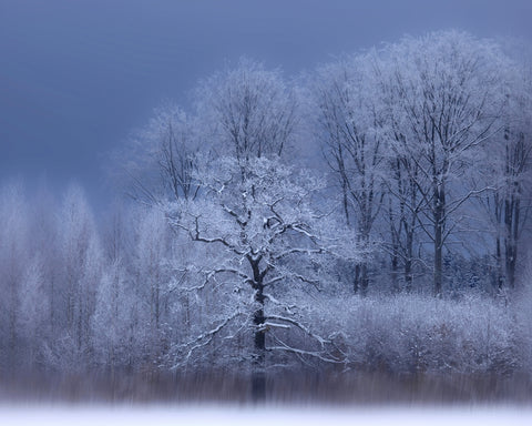 A Chilly Winter Day