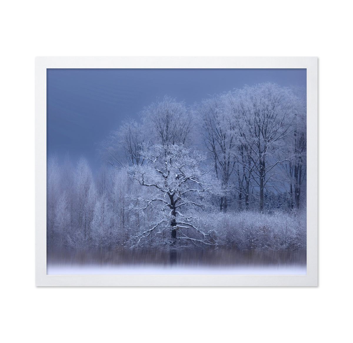 A Chilly Winter Day