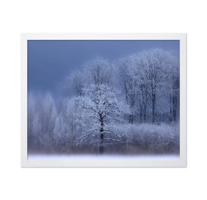 A Chilly Winter Day