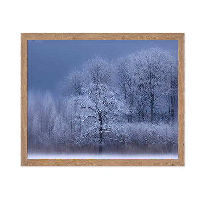 A Chilly Winter Day