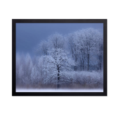 A Chilly Winter Day