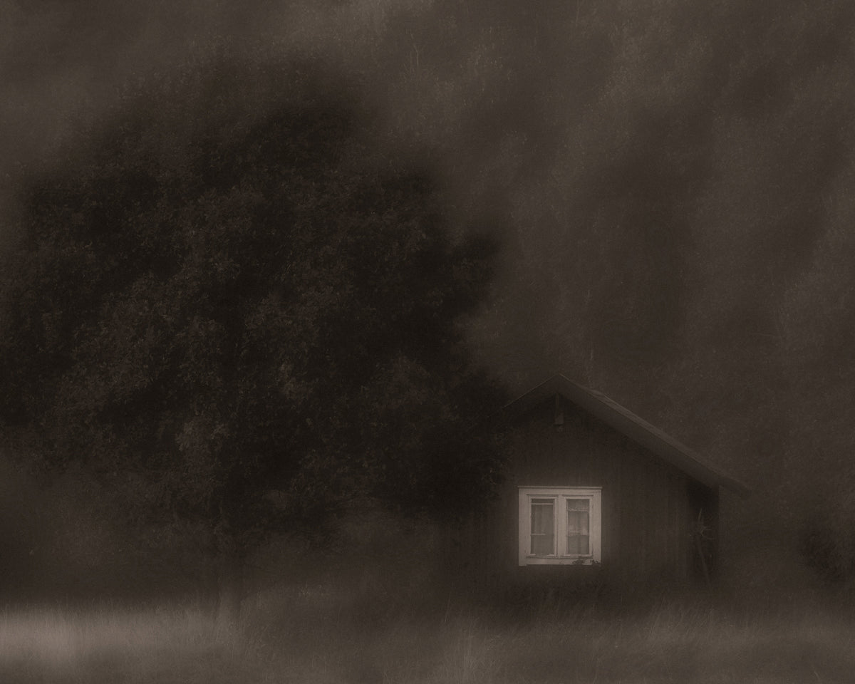 The Little Cabin in the Woods