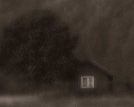 The Little Cabin in the Woods