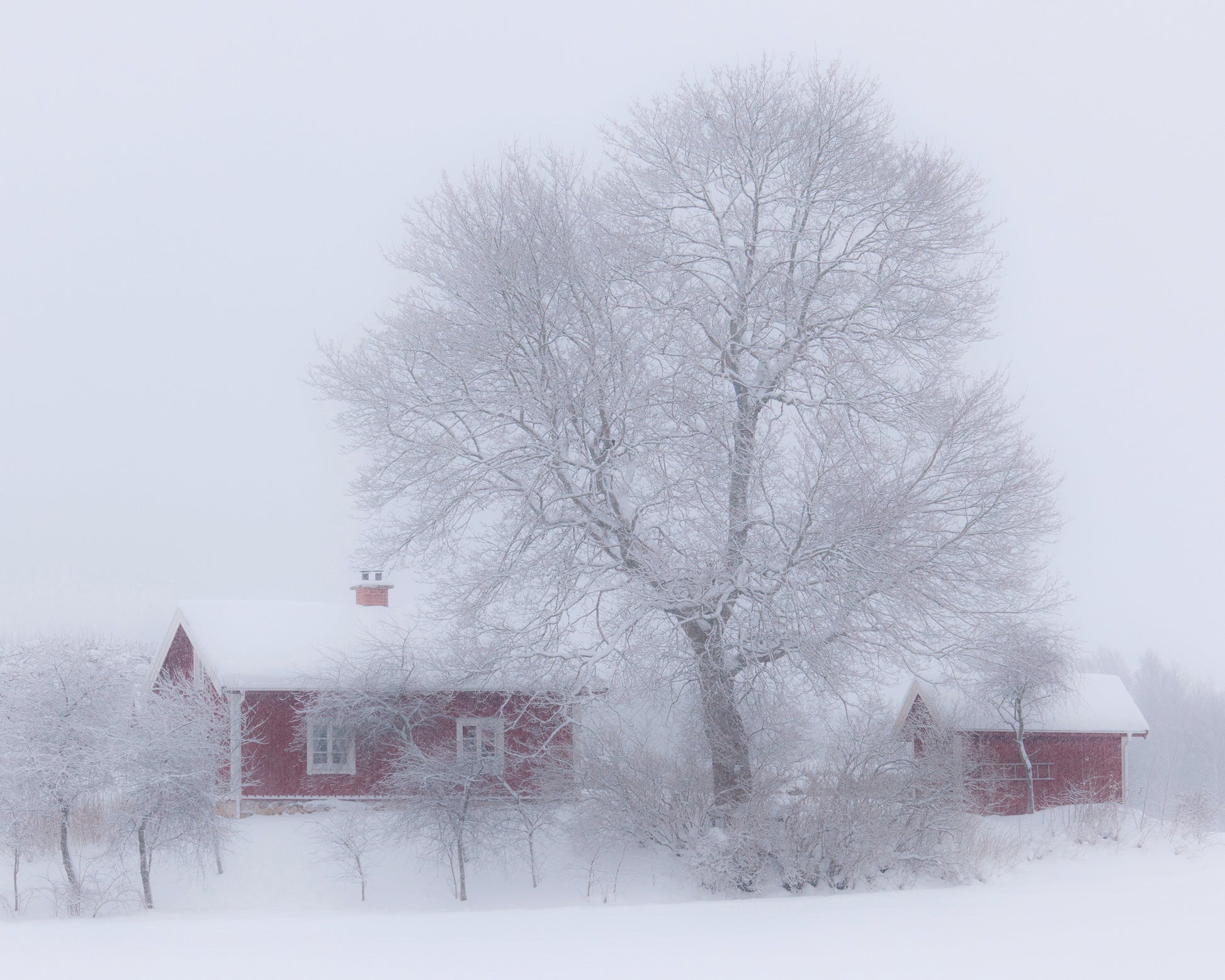 Winter Idyll