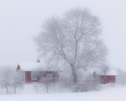 Winter Idyll