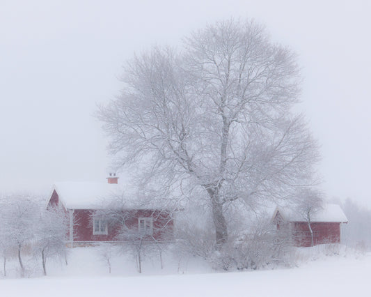 Winter Idyll