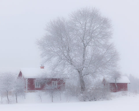 Winter Idyll