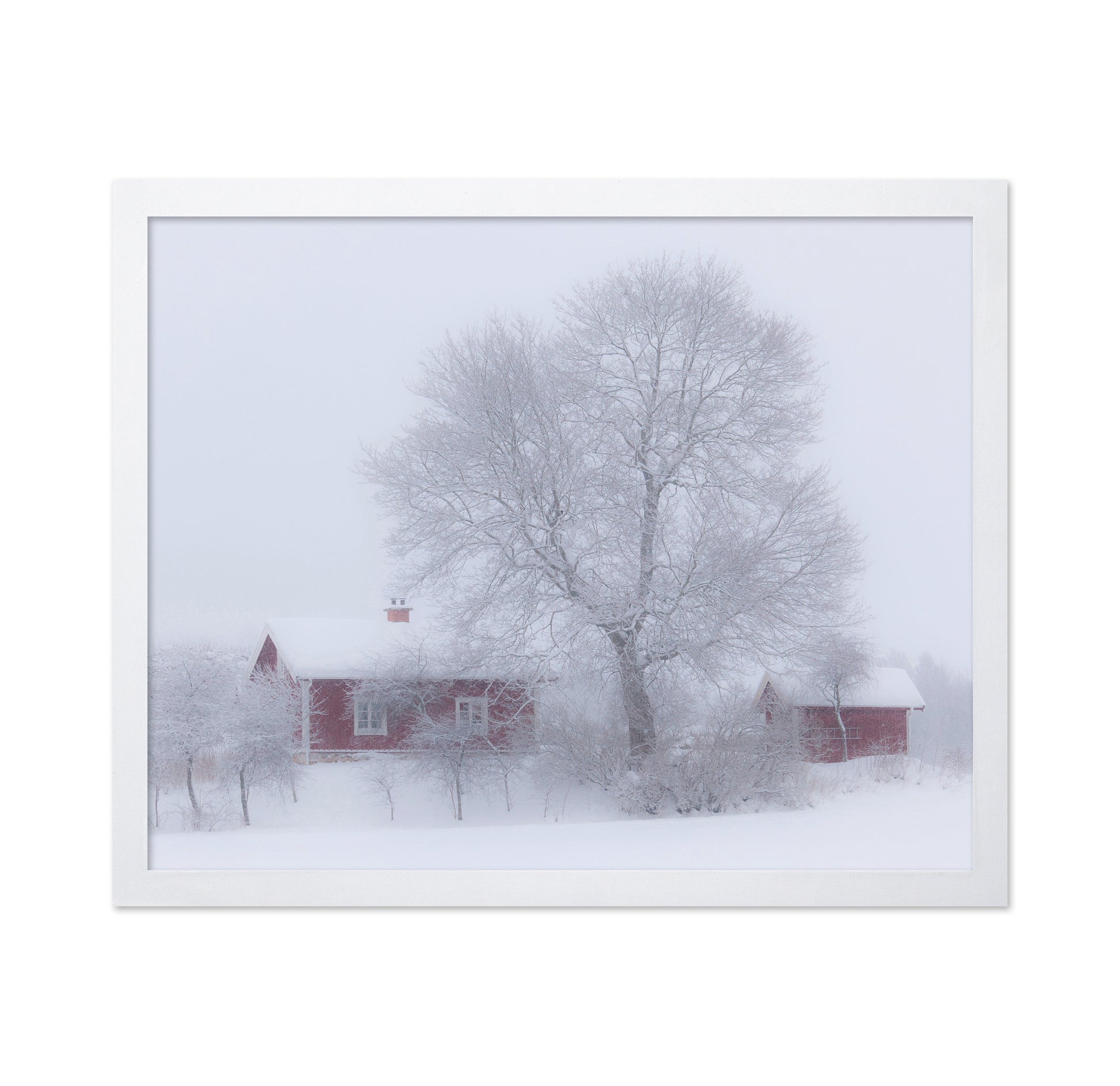 Winter Idyll