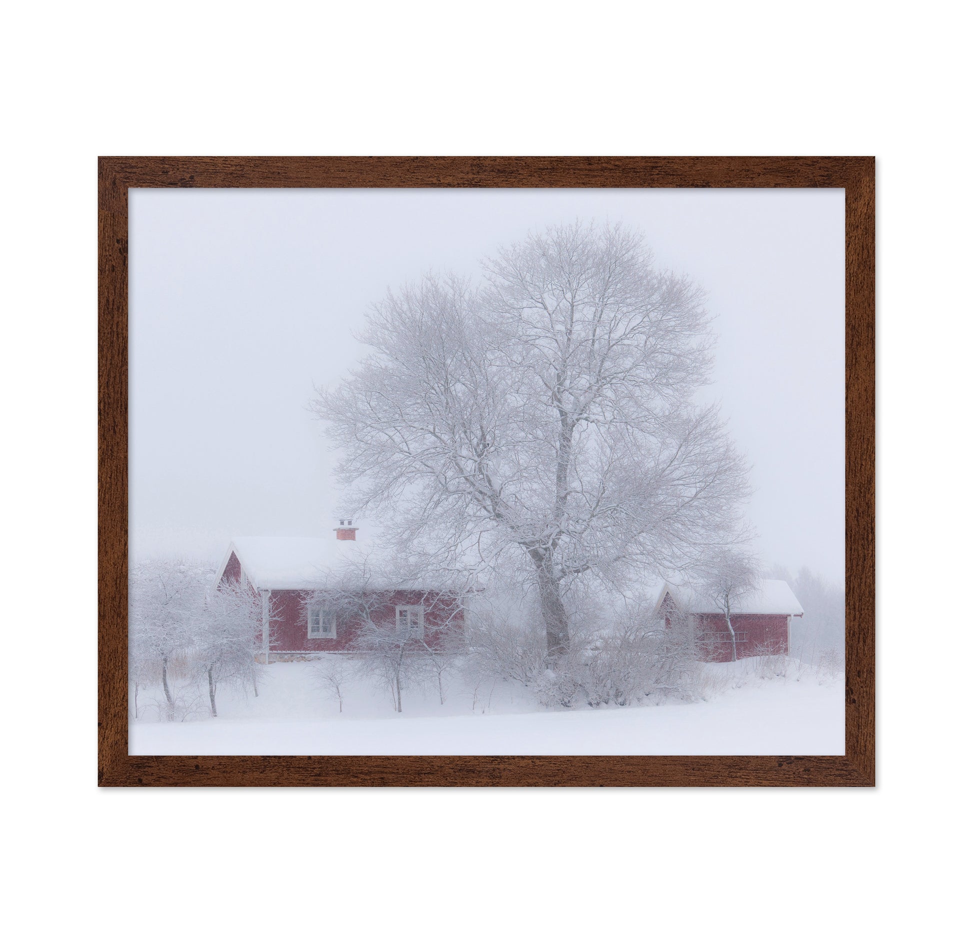 Winter Idyll
