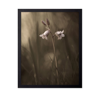 A Small Flower On The Ground