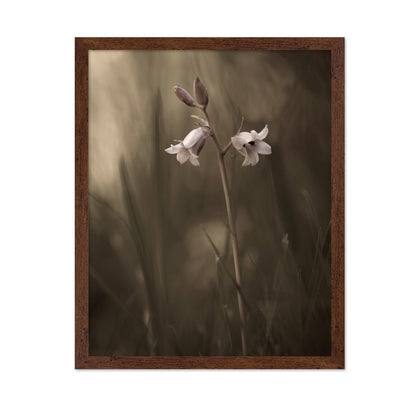 A Small Flower On The Ground