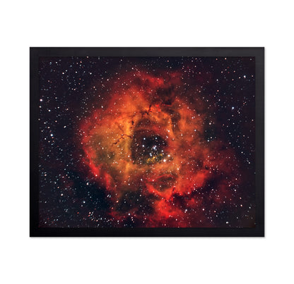Rose in the Sky