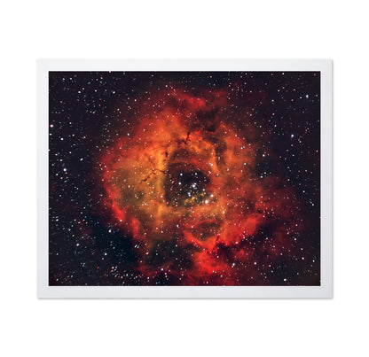 Rose in the Sky