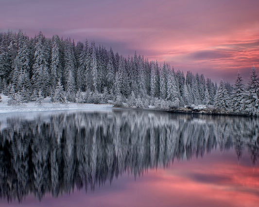 Winter Fairytale