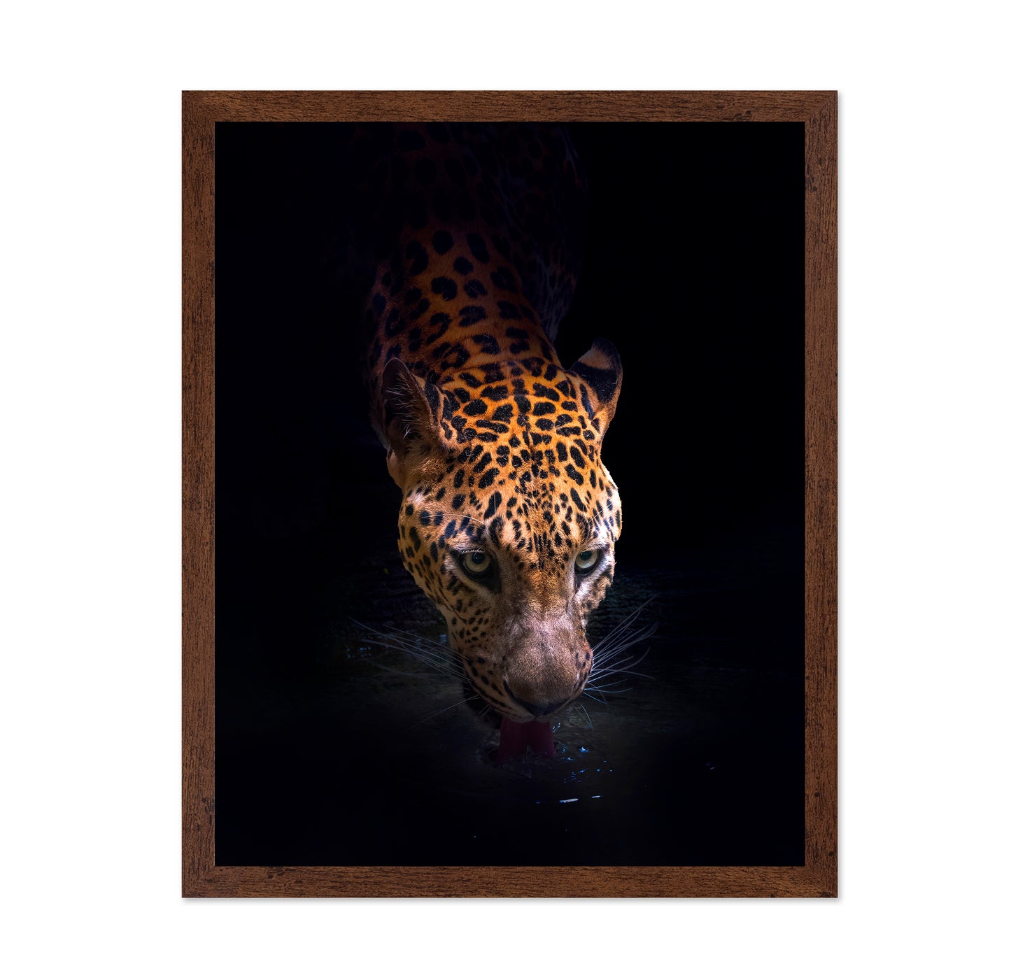 Leopard Drinking
