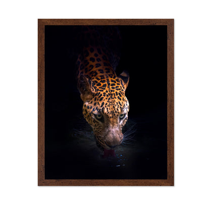 Leopard Drinking