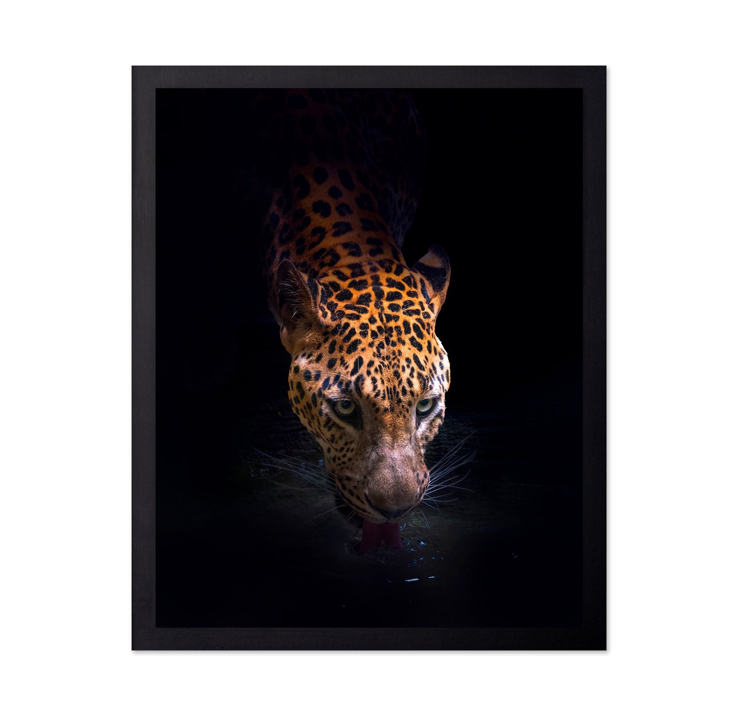 Leopard Drinking
