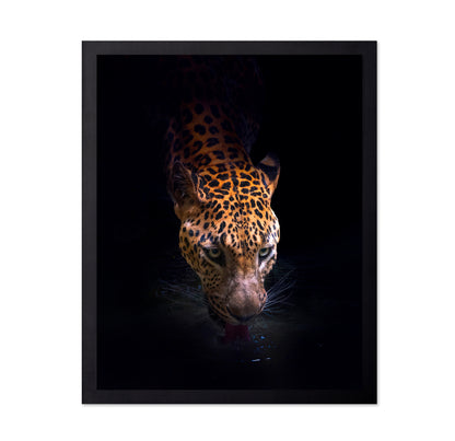 Leopard Drinking