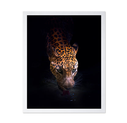 Leopard Drinking