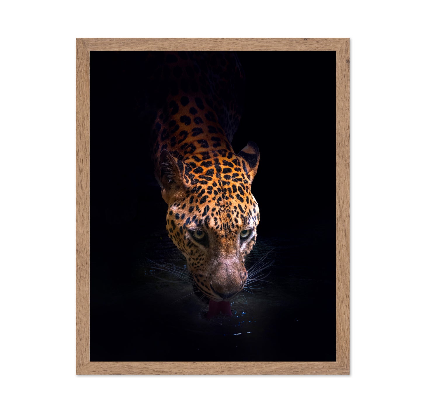 Leopard Drinking